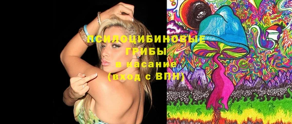амф Переславль-Залесский