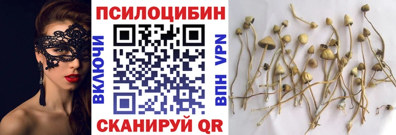 Псилоцибиновые грибы Cubensis  Слюдянка 
